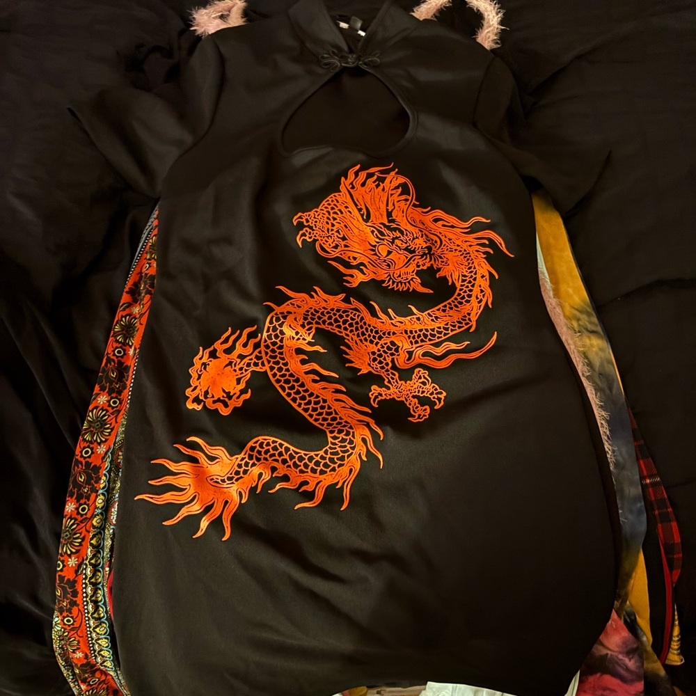 Never worn dragon printed dress